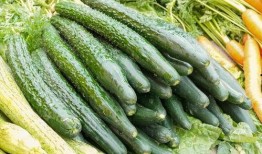 如何吃角刺瓜,解锁美味新体验