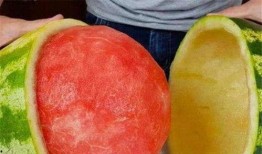 迪拜人如何吃瓜,品味奢华中的瓜文化