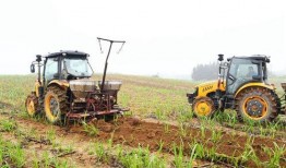 吃瓜哥修甘蔗机器,修甘蔗机器，农业现代化新篇章