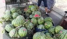 台州天台吃瓜事件,一场引发热议的网络狂欢