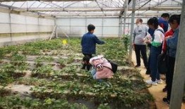 有缘的人吃瓜,那些命中注定的瓜界奇缘