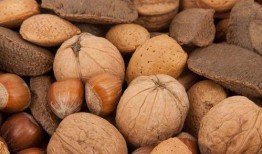 吃波斯蜜瓜可以吃核桃吗