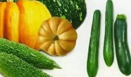 乔风吃瓜,揭秘娱乐圈幕后故事