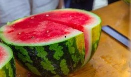 学校吃瓜热门,揭秘校园吃瓜风云录