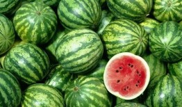 西瓜声控吃瓜视频,西瓜视频带你体验全新互动乐趣