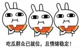 没人能逃过吃瓜,揭秘吃瓜群众的狂欢世界