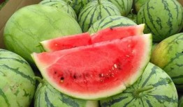 田心三水知乎吃瓜,揭秘网络红人的幕后故事