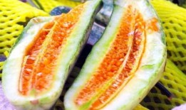 吃瓜今日瓜热门瓜,吃瓜群众聚焦娱乐圈最新热点事件