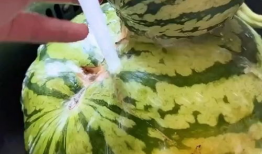 搞笑吃瓜场面视频