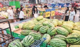 吃瓜专卖店,品味夏日清凉，畅享瓜果盛宴