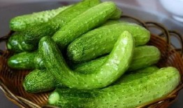 苍玄吃瓜嗑瓜,瓜界风云录