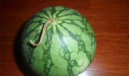 老余吃瓜,揭秘娱乐圈那些不为人知的幕后故事