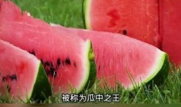 吃瓜科普西瓜,吃瓜群众的科普之旅