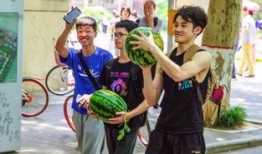 吃瓜厦门学院,揭秘吃瓜背后的厦门学院风云录