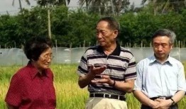 严王吃瓜,揭秘娱乐圈幕后真相