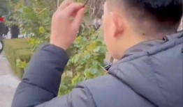 有人吵架吃瓜,一场激烈争吵背后的真相揭秘