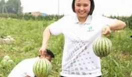 团池吃瓜,揭秘娱乐圈背后的那些事儿