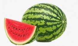 田心三水知乎吃瓜,揭秘网络红人的幕后故事