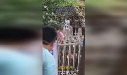 最美吃瓜群众视频,视频走红背后的吃瓜文化现象