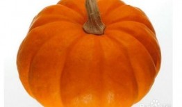 北方吃瓜图片大全