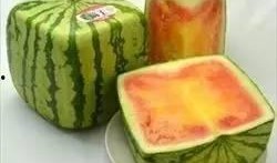 最奢侈的吃瓜,揭秘最奢侈的吃瓜盛宴