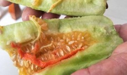 酥瓜怎么吃最好,这样吃最过瘾！