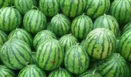 今日吃瓜热门大瓜每日更新吃瓜网