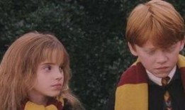 他泰cp吃瓜群,一场甜蜜与甜蜜的碰撞