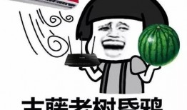 吃瓜群众怎么挖瓜赚钱