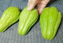 视频佛手瓜怎么吃,这样吃最健康！