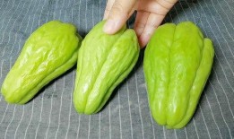 视频佛手瓜怎么吃,这样吃最健康！