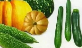 夏星夜吃瓜,揭秘娱乐圈背后的那些事儿