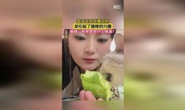 南京吃瓜的女人,南京街头“吃瓜”女性的生活百态