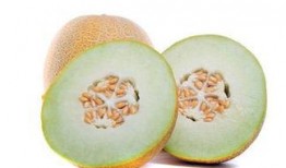 怀孕 吃哈密瓜,哈密瓜助力健康孕育之旅