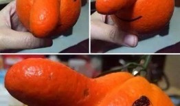 早上吃土瓜好吗,开启健康活力一天的秘密