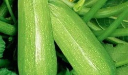 孟平最新吃瓜,揭秘娱乐圈幕后真相