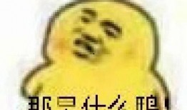 吃瓜收费表情包,趣味收费，社交新潮流