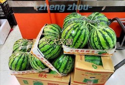 郑州尉氏吃瓜,探寻郑州尉氏的美食风情