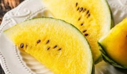 吃瓜ship,吃瓜群众视角下的娱乐圈风云录