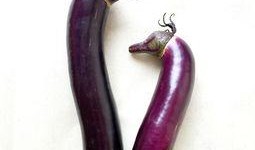 广东矮瓜怎么吃,矮瓜的多样食法探索