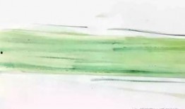 写纸条吃瓜,揭秘写纸条吃瓜的趣味生活