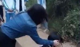 吃瓜群众打人群殴,一场混乱的街头冲突