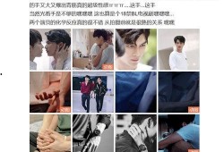 追星兼吃瓜,揭秘娱乐圈的追星与吃瓜盛宴