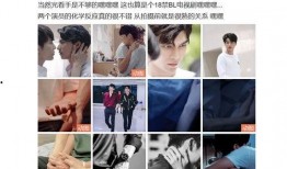 追星兼吃瓜,揭秘娱乐圈的追星与吃瓜盛宴